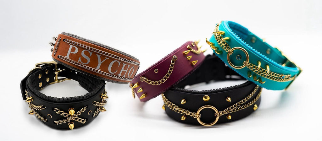 Arabian Night Collar