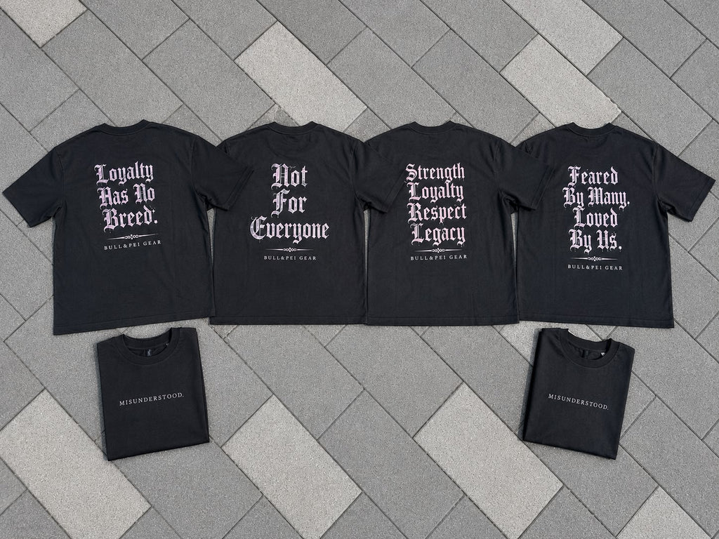MISUNDERSTOOD T-Shirt