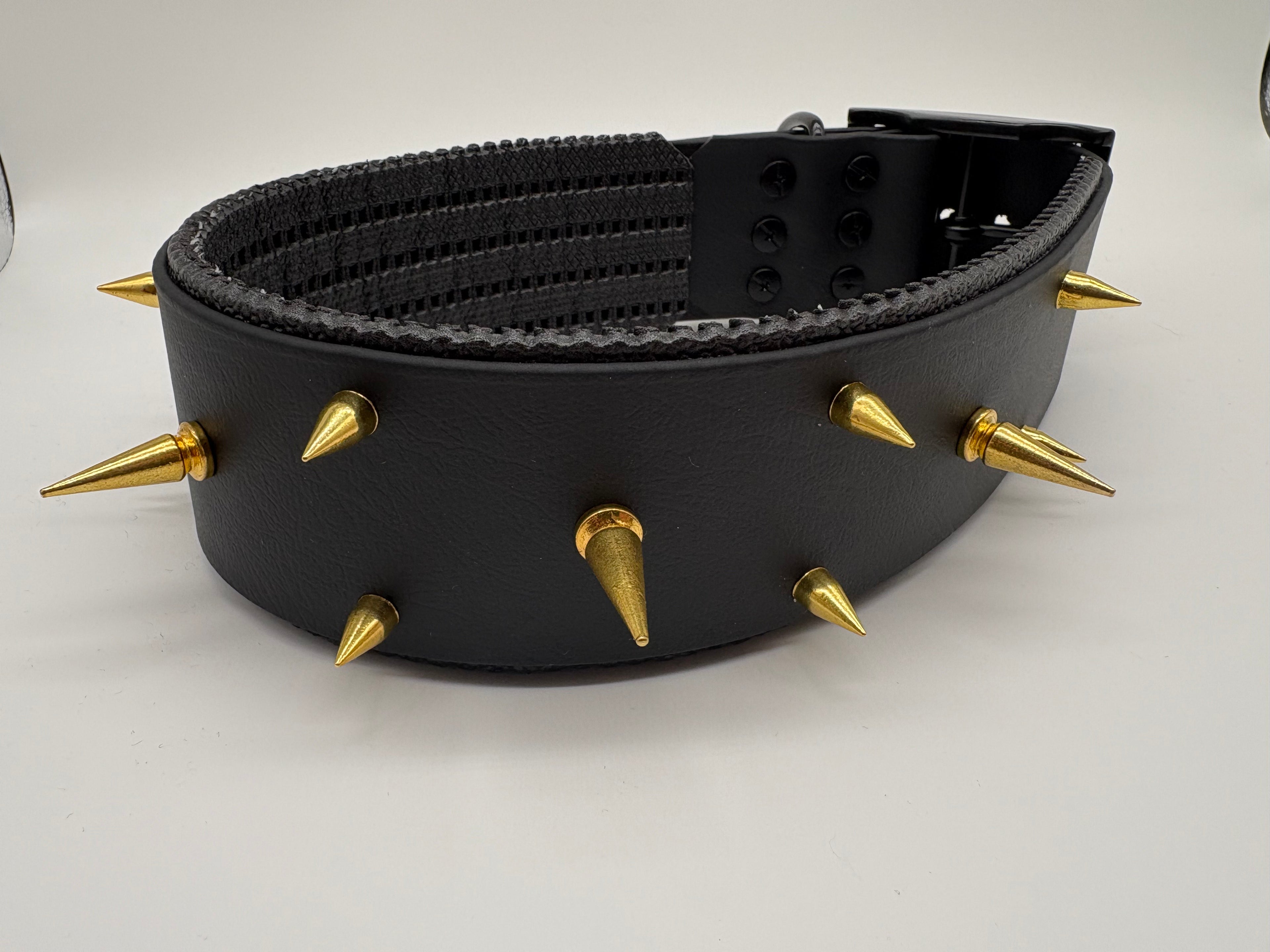 2-für-1 Surprise Halsband