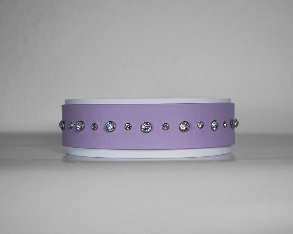 2-für-1 Surprise Halsband