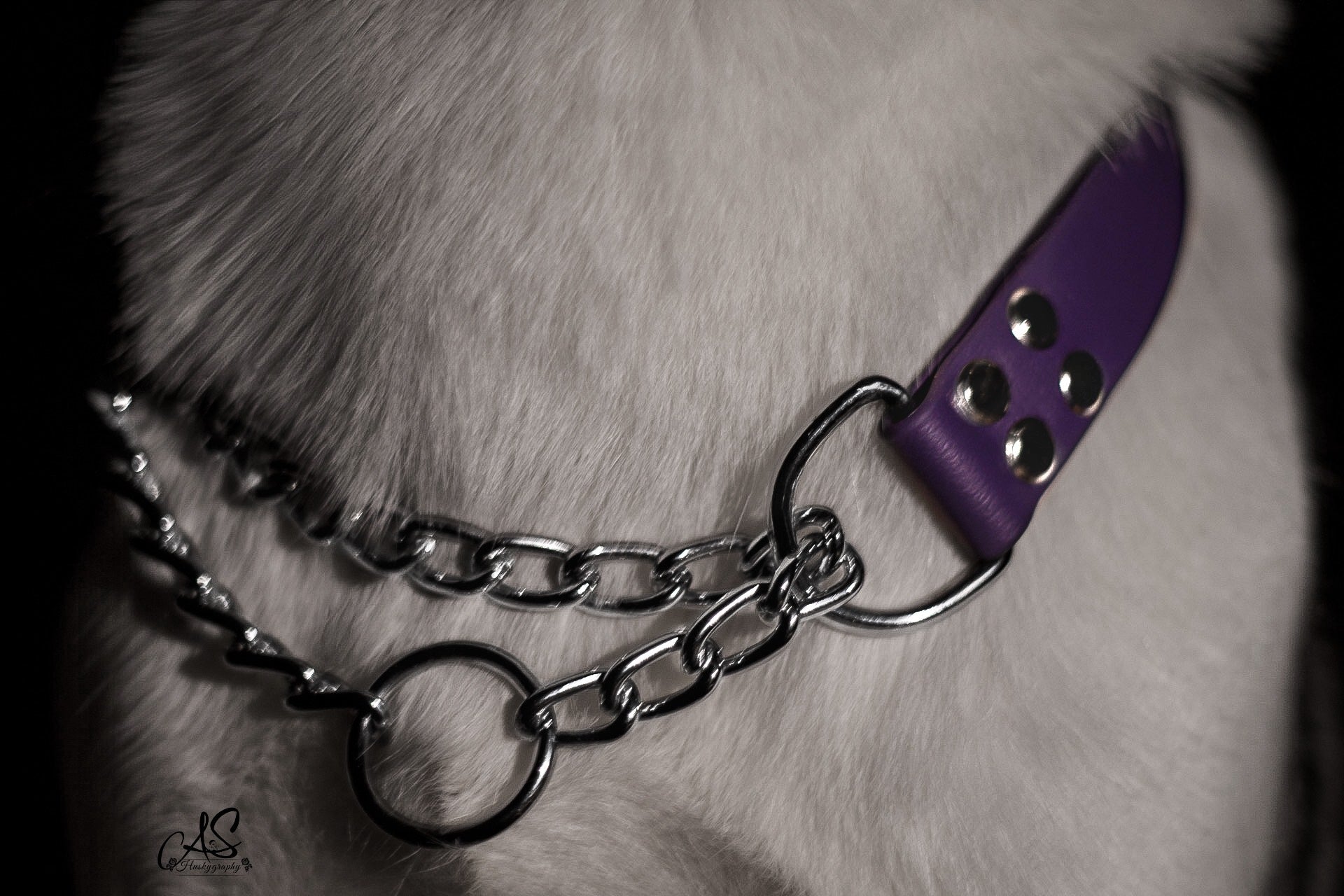 Zugstopp Halsband